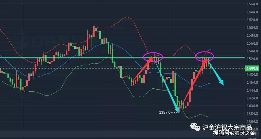 Terns Pharma股价盘中骤降5.03%，市场异动引关注