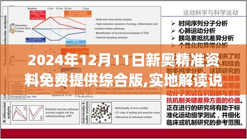 揭秘2024新奥精准资料免费大全第078期|全面释义解释落实 完整版220.320