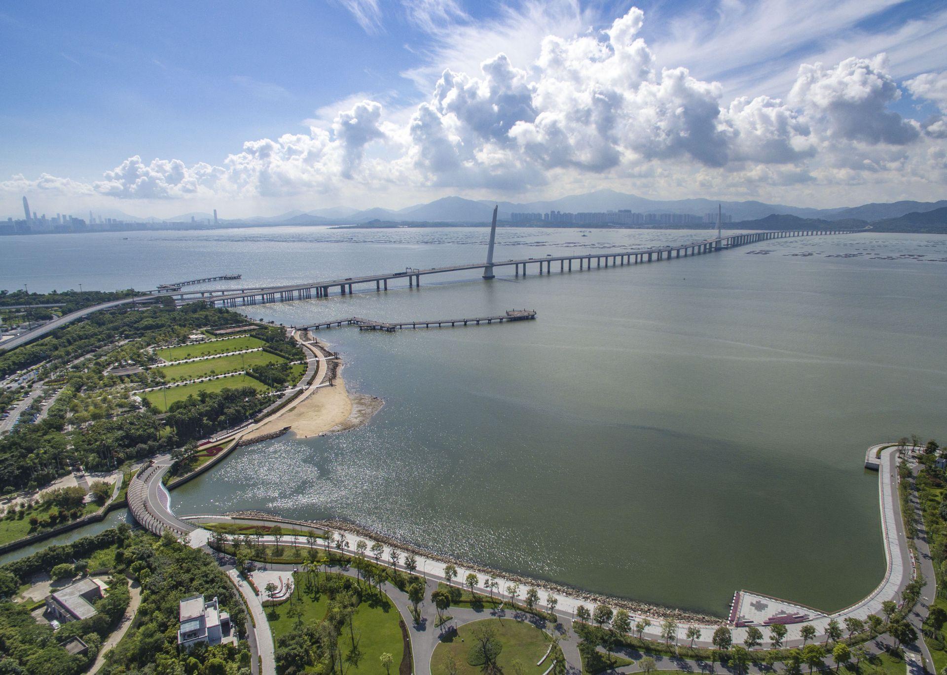 粤港澳海洋文化论坛，探索海洋文明的深度与广度