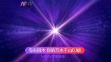 在线视听中文DJ歌曲，音乐的数字化浪潮与文化的融合