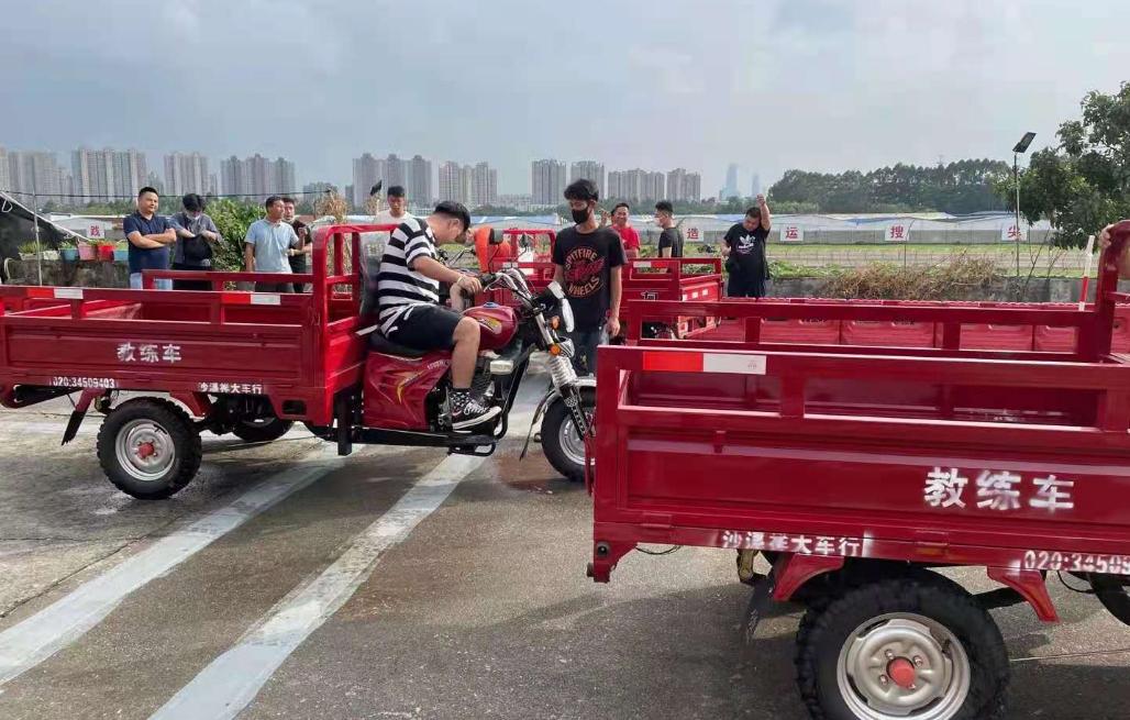 寻找自考网课，开启自主学习之旅的指南