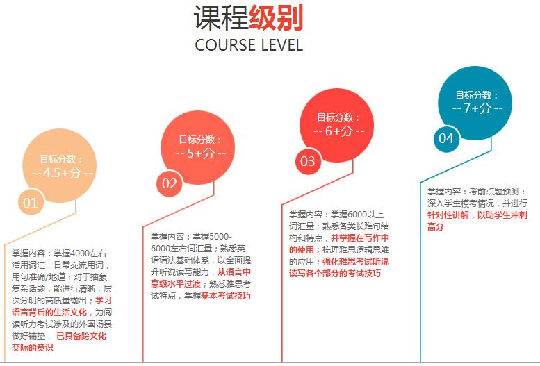 在线雅思培训都有哪些，全面解析与深度探讨