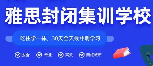 在线雅思培训哪家好些，深度解析与推荐