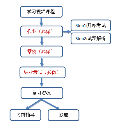 在线考试英语学习计划，构建高效学习路径