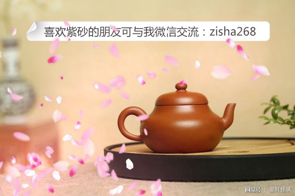 粤港澳茶文化，一壶好茶，千年传承