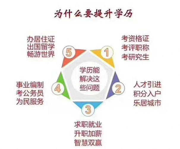 在公司专升本，探索职场进阶之路