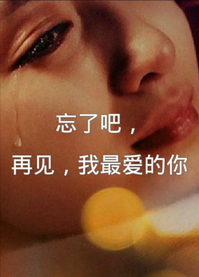 再见吧，最爱的你——DJMP3下载的魅力与情感交织