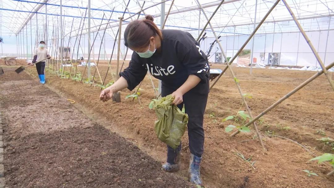 粤港澳大湾区六祖文化节，传承与创新的融合