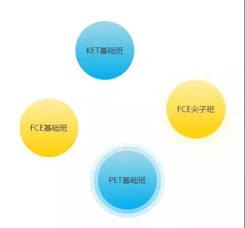 在线学习英语哪个品牌更优，深度探讨与对比分析