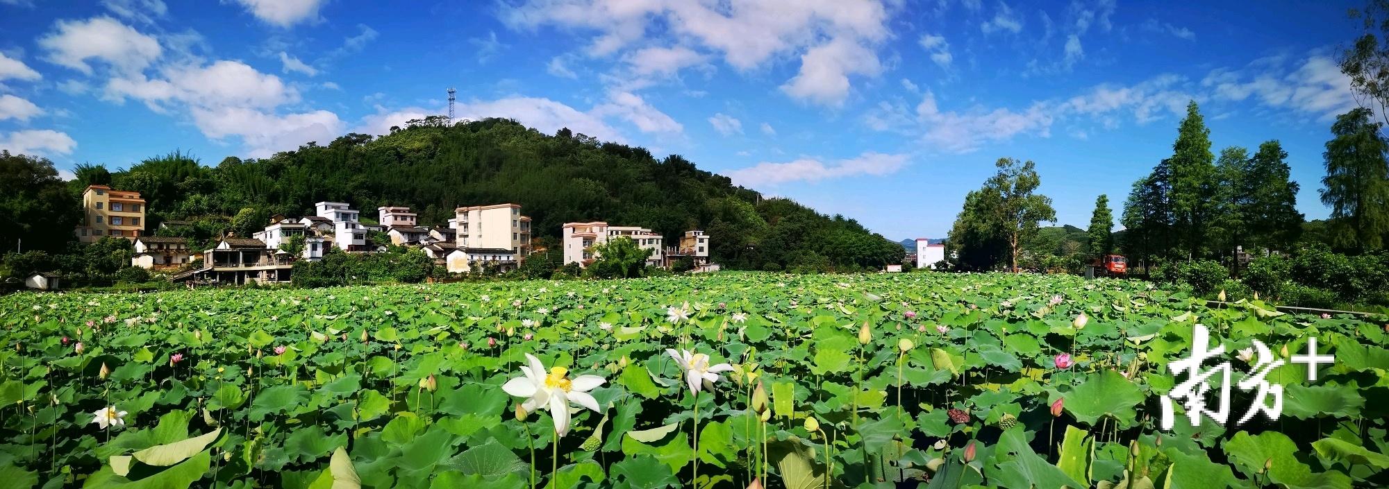 粤港澳大湾区文化底蕴