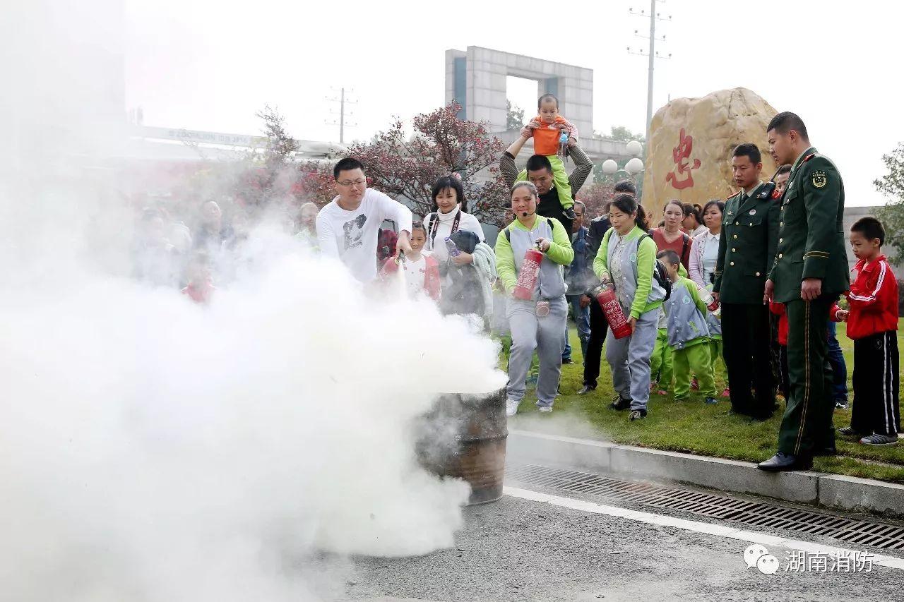 岳阳58同城招聘司机，职业前景与求职攻略