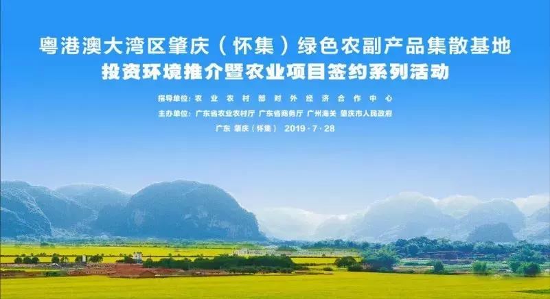 粤港澳大湾区文化活动的繁荣与发展