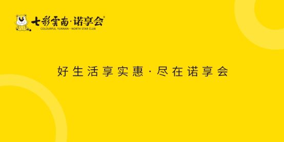 云南自考网官网首页，一站式服务平台与自考生的成功之路