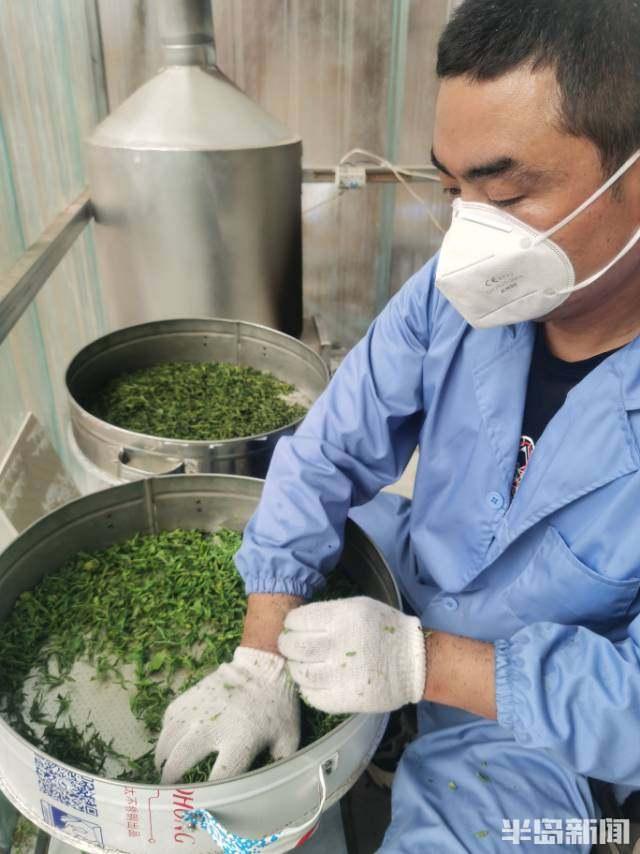 粤港澳茶文化比赛视频，传承与创新的精神风貌