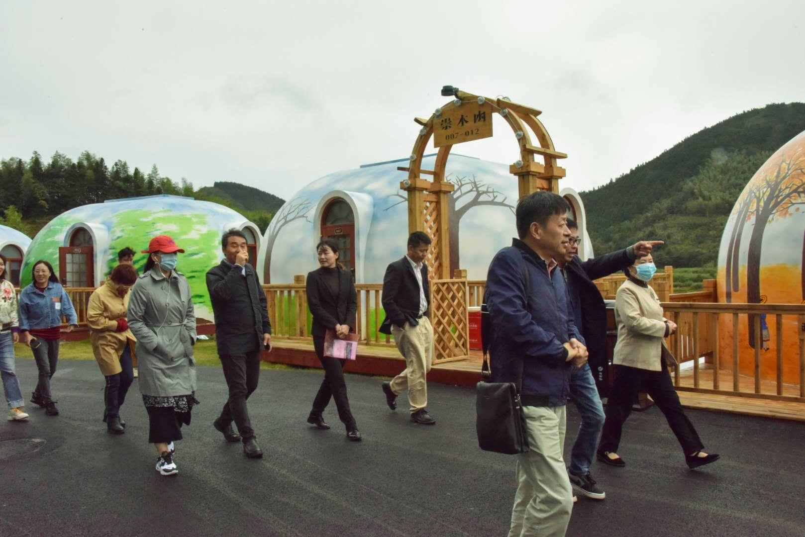 粤港澳大湾区文化圈建设的探索与实践